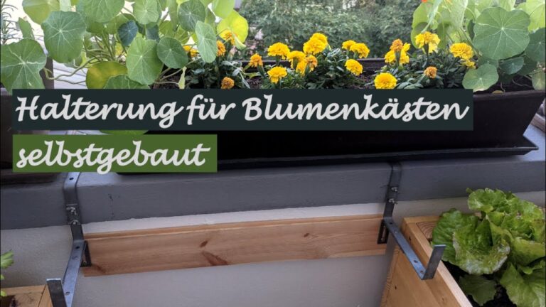 Kreative Blumenkästen für Mauern gestalten