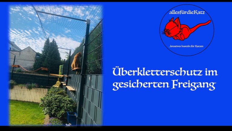 Optimale Lösungen für den Überkletterschutz bei Katzen